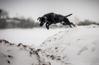 Snow day at Northwick-9