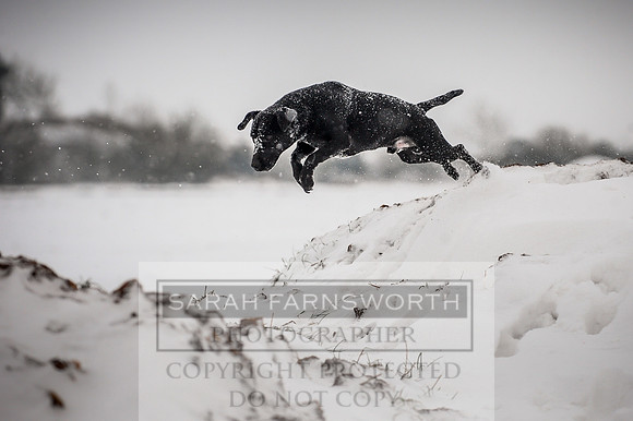 Snow day at Northwick-9