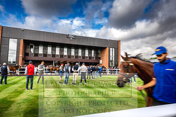Goffs UK PY24-75