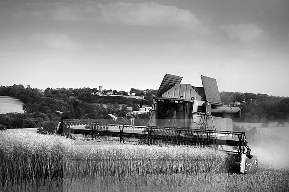 combining r-oil 025 bw
