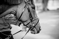 Covert Love-8 bw