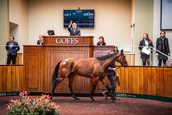 Goffs UK Breeze Up 2022-196