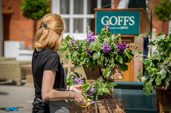 Goffs London Sale 2015-32