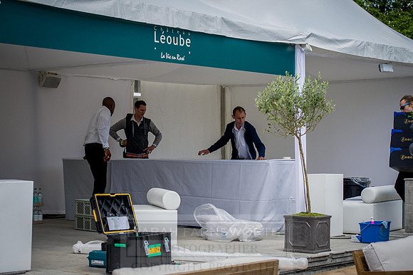 Goffs London Sale 2015-44