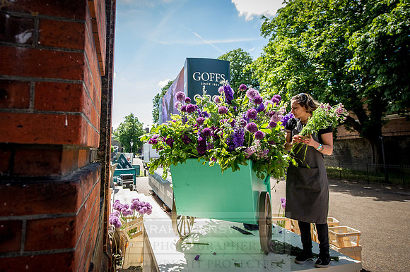 Goffs London Sale 2015-40