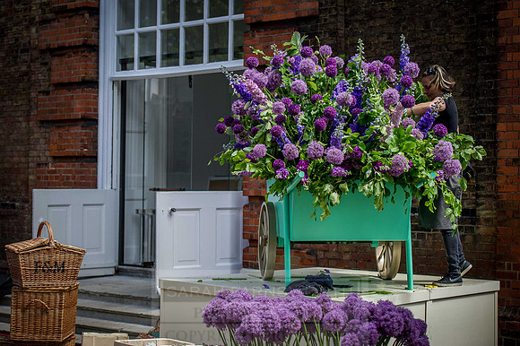 Goffs London Sale 2015-36