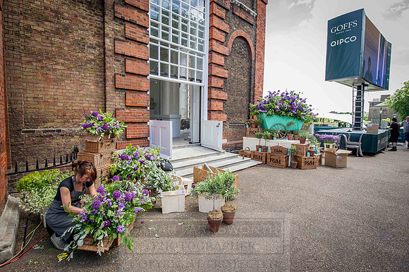 Goffs London Sale 2015-43