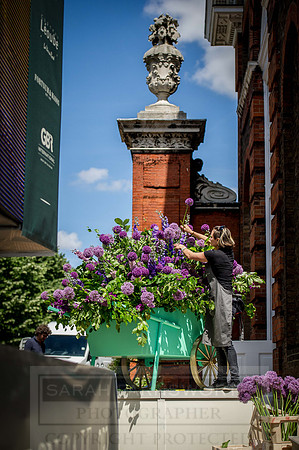 Goffs London Sale 2015-38