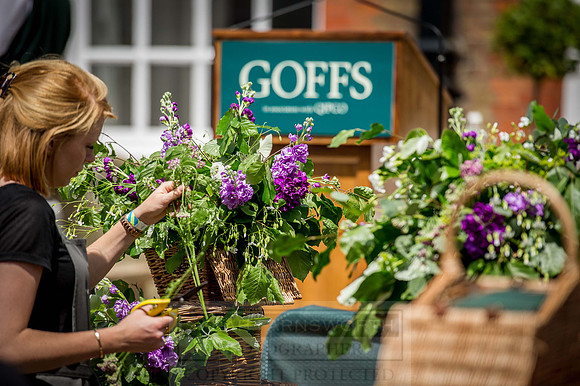 Goffs London Sale 2015-35