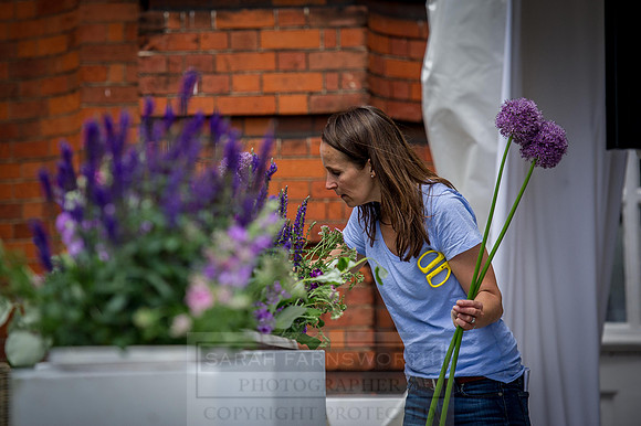 Goffs London Sale 2015-41