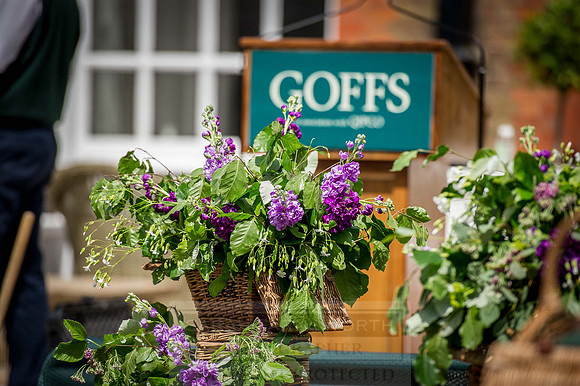 Goffs London Sale 2015-34