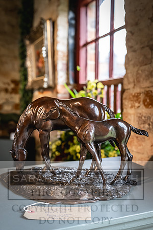 Goffs UK Yorton Sale 2023-7