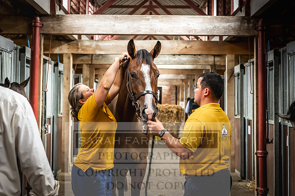 Goffs UK Yorton Sale 2023-26