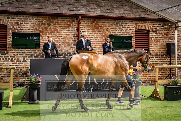 Goffs UK Yorton Sale 2023-261