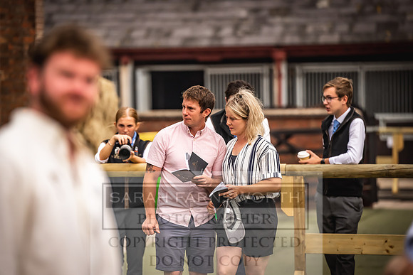 Goffs UK Yorton Sale 2023-74