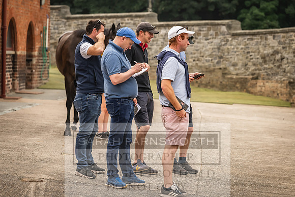 Goffs UK Yorton Sale 2023-111