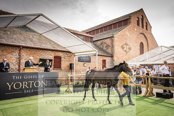 Goffs UK Yorton Sale 2023-215