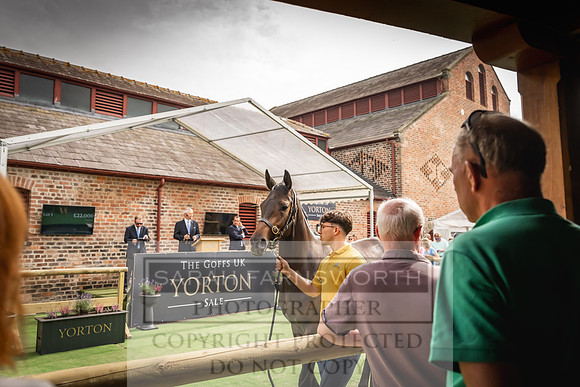 Goffs UK Yorton Sale 2023-207