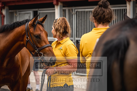 Goffs UK Yorton Sale 2023-141