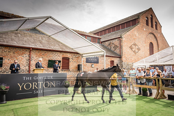 Goffs UK Yorton Sale 2023-212