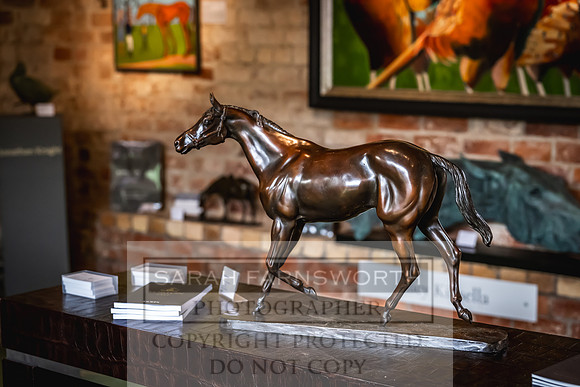 Goffs UK Yorton Sale 2023-152