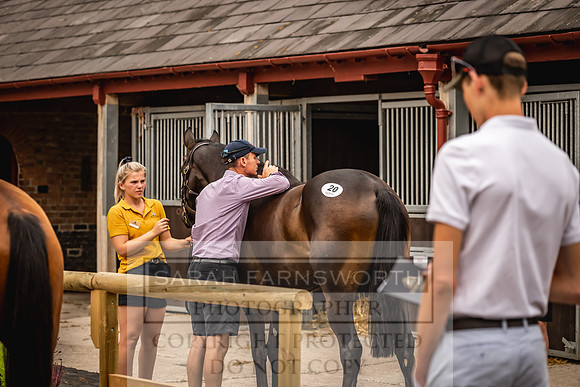 Goffs UK Yorton Sale 2023-138