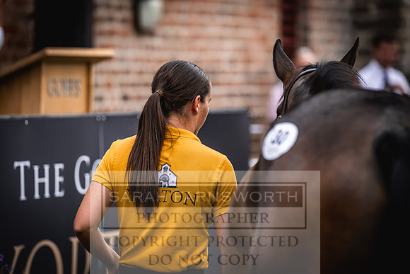 Goffs UK Yorton Sale 2023-366