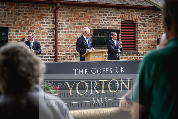 Goffs UK Yorton Sale 2023-229