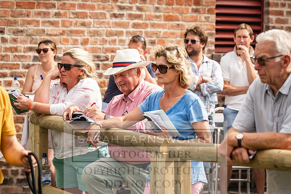 Goffs UK Yorton Sale 2023-299