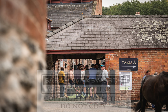 Goffs UK Yorton Sale 2023-383