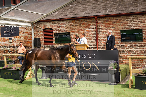 Goffs UK Yorton Sale 2023-290