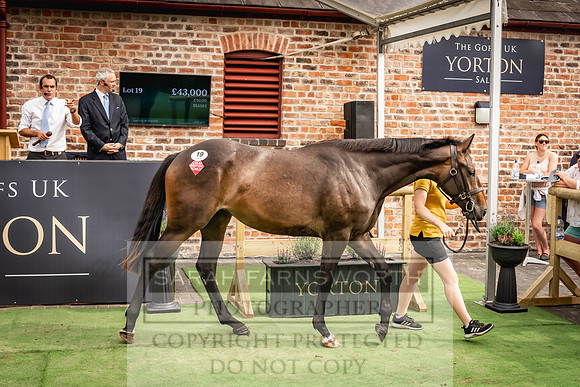 Goffs UK Yorton Sale 2023-327