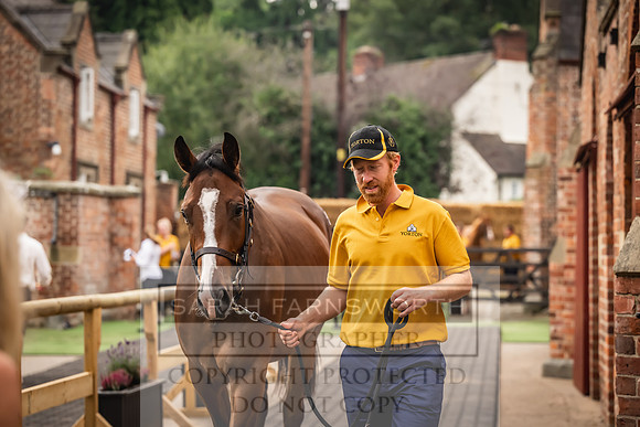 Goffs UK Yorton Sale 2023-82