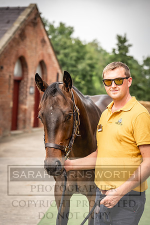 Goffs UK Yorton Sale 2023-329