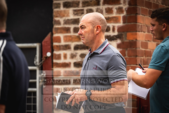 Goffs UK Yorton Sale 2023-85