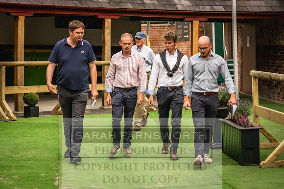 Goffs UK Yorton Sale 2023-157