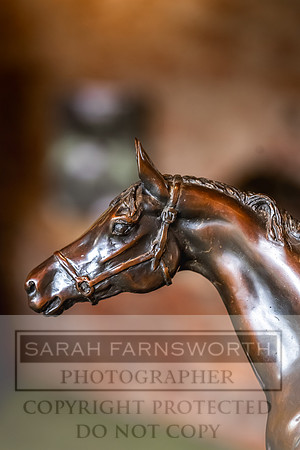 Goffs UK Yorton Sale 2023-154