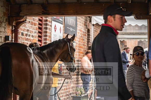 Goffs UK Yorton Sale 2023-379