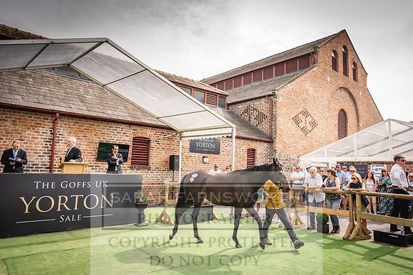 Goffs UK Yorton Sale 2023-217
