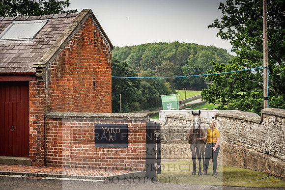 Goffs UK Yorton Sale 2023-281