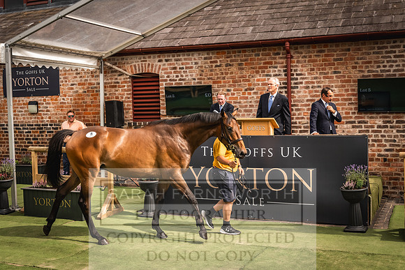 Goffs UK Yorton Sale 2023-249
