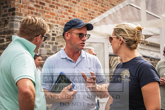 Goffs UK Yorton Sale 2023-188