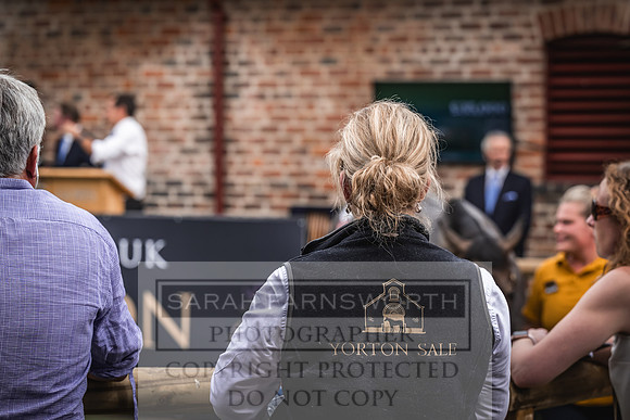 Goffs UK Yorton Sale 2023-369
