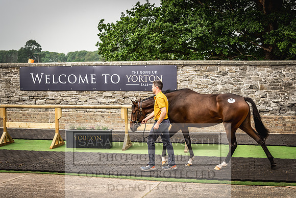 Goffs UK Yorton Sale 2023-90
