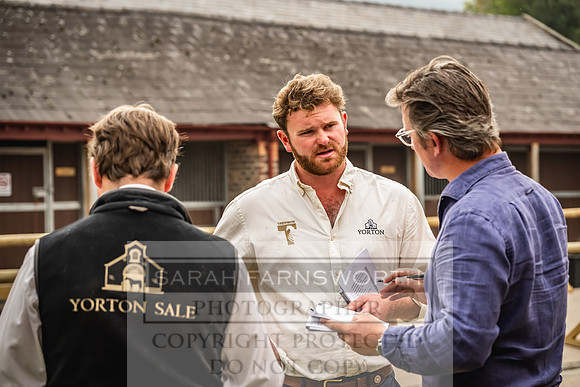 Goffs UK Yorton Sale 2023-37