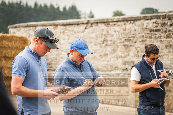 Goffs UK Yorton Sale 2023-98