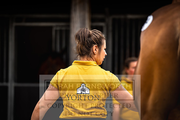 Goffs UK Yorton Sale 2023-48