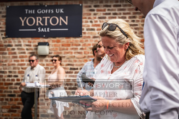 Goffs UK Yorton Sale 2023-358