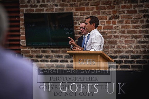 Goffs UK Yorton Sale 2023-370