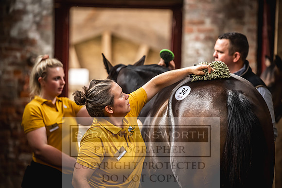 Goffs UK Yorton Sale 2023-54